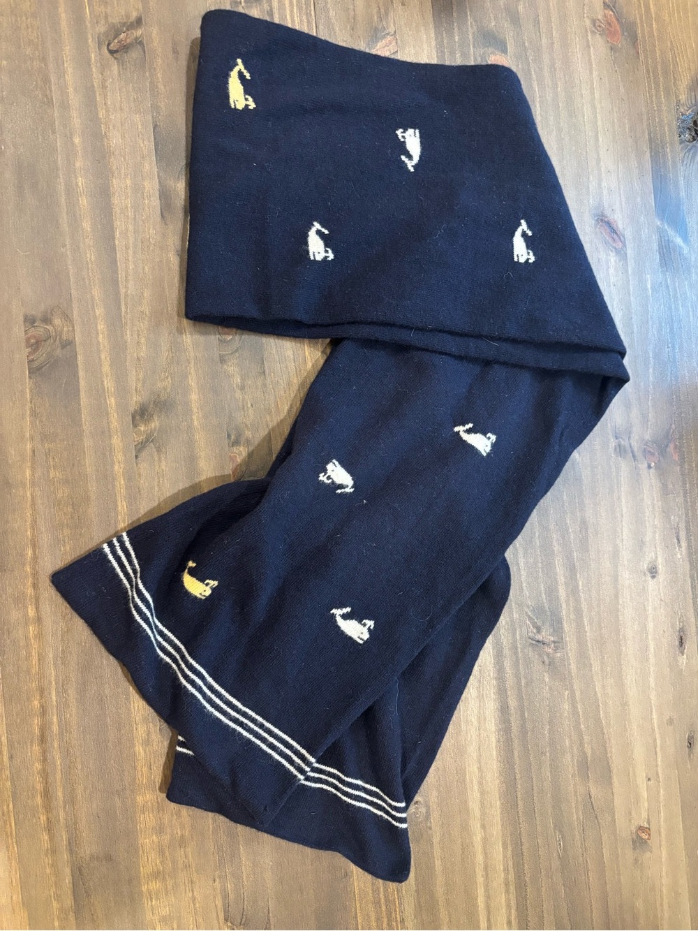 J. Crew Wool/Cashmere Knit Scarf